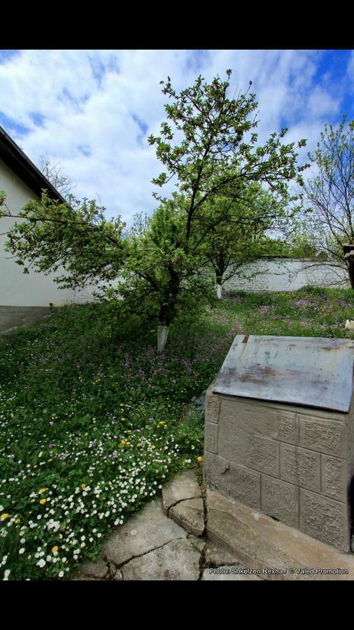 Bujtina Zhaveli Bed & Breakfast Gjakova Dış mekan fotoğraf